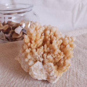 Drusa de Aragonite Coraloide e Calcite